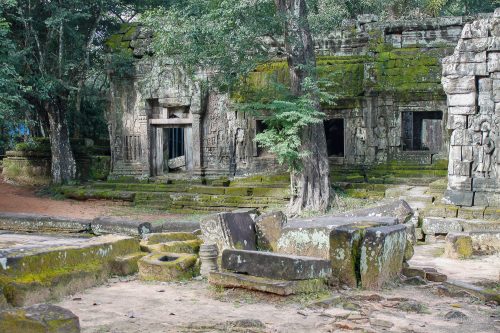 ta prohm tempel kambodscha