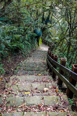 maokong healthy trail staircase