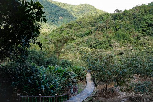 maokong healthy trail