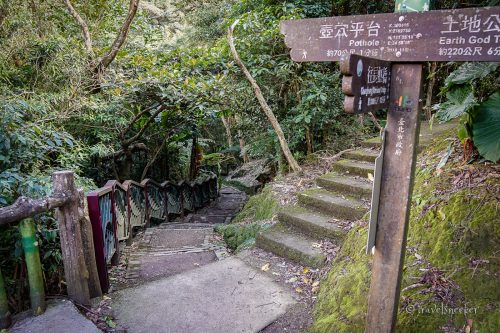 taiwan hiking healthy trail
