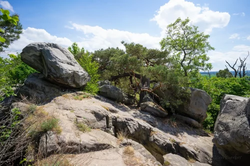 aussichtspunkt altenburg langenstein harz