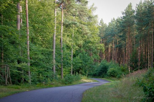 fahrradtour von templin nach lychen uckermarck