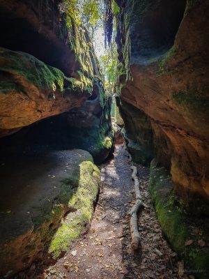 wanderung sächsische schweiz felsenlabyrinth bei langenhennersdorf