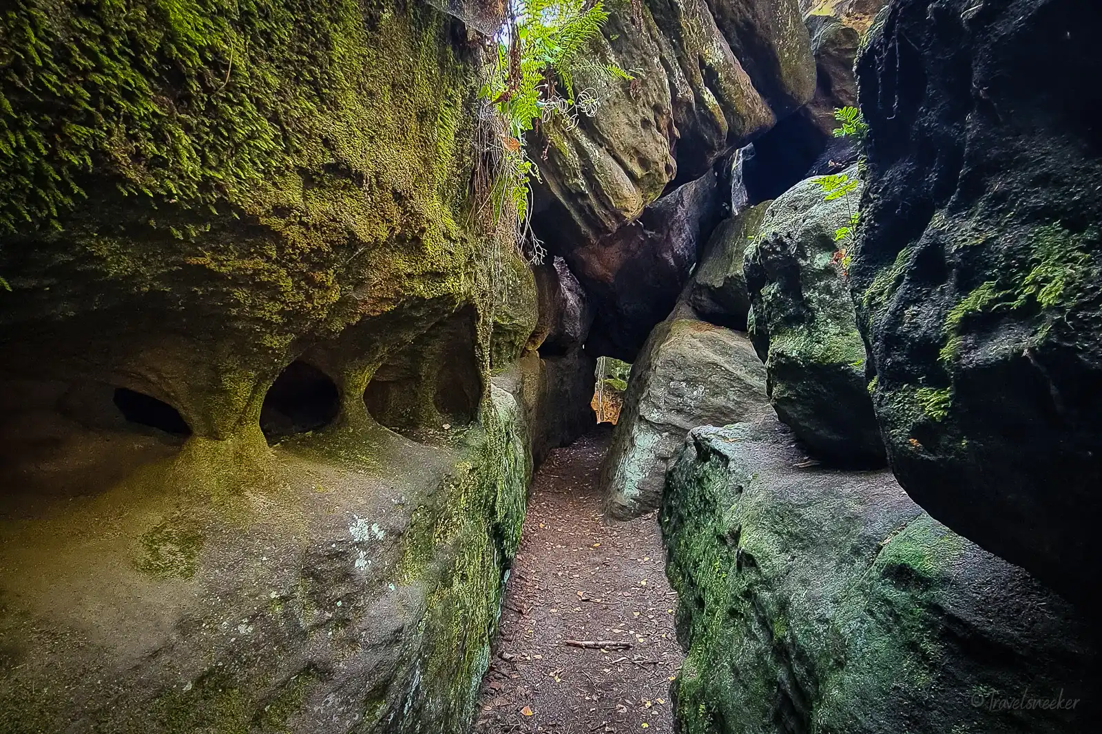 Wanderung zum Felsenlabyrinth in der Sächsischen Schweiz