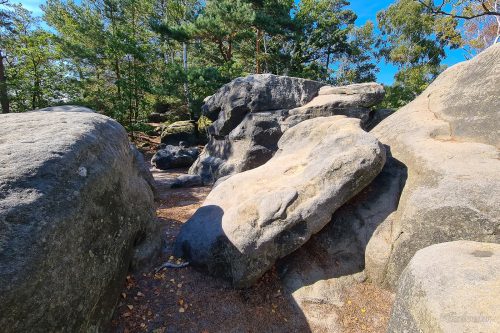 großer bärenstein sächsische schweiz