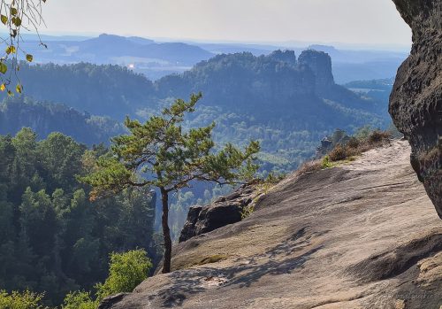 carolafelsen sächsische schweiz wanderung