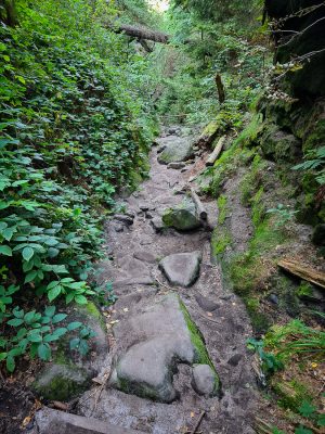 carolafelsen sächsische schweiz wanderung