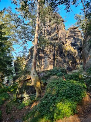 carolafelsen sächsische schweiz wanderung