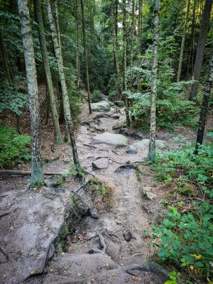 wolfsschlucht sächsische schweiz wanderung