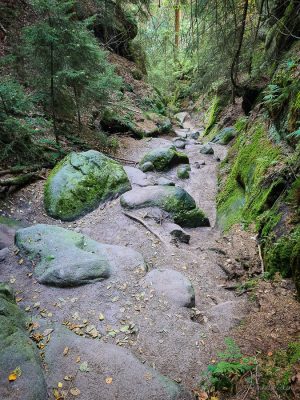 wolfsschlucht sächsische schweiz wanderung