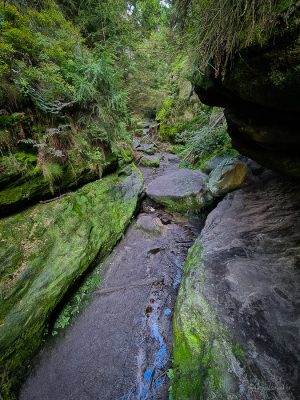 wolfsschlucht sächsische schweiz wanderung