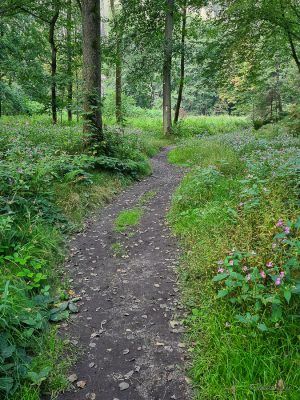 durch den nassen grund wanderung sächsische schweiz