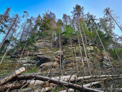 durch den nassen grund wanderung sächsische schweiz