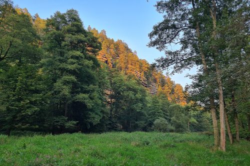 wanderung sächsische schweiz