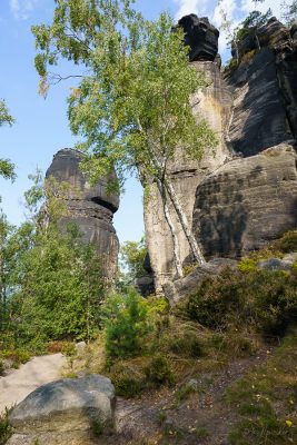 wanderung frienstein idagrotte sächsische schweiz