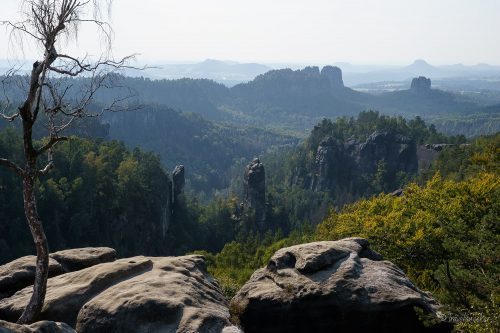 carolafelsen sächsische schweiz wanderung