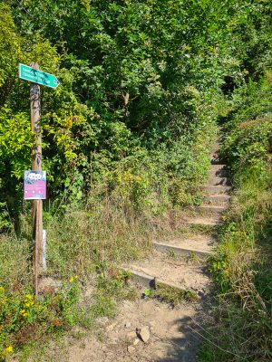 wanderung kleine bastei sächsische schweiz