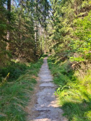 elbleitenweg wanderung sächsische schweiz elbsandsteingebirge