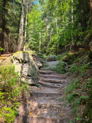 wanderung sächsische schweiz elbsandsteingebirge