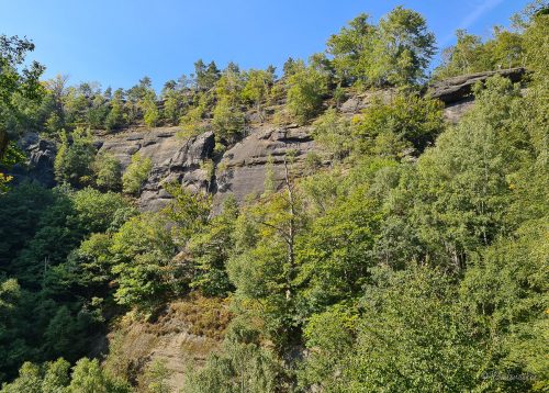 wanderung affensteine sächsische schweiz