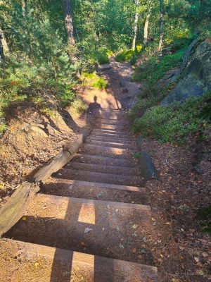 affensteine wanderung sächsische schweiz elbsandsteingebirge