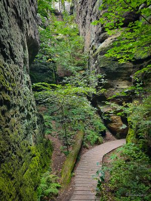 felswände wanderung kuhstall sächsische schweiz