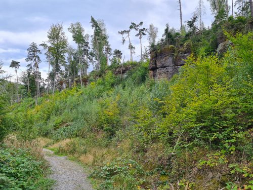 wanderung durch das kirnitzschtal sächsische schweiz