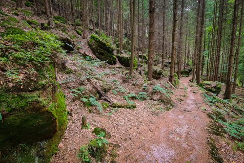 flößersteig wanderung durch das kirnitzschtal sächsische schweiz