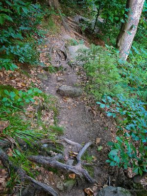flößersteig wanderung durch das kirnitzschtal sächsische schweiz
