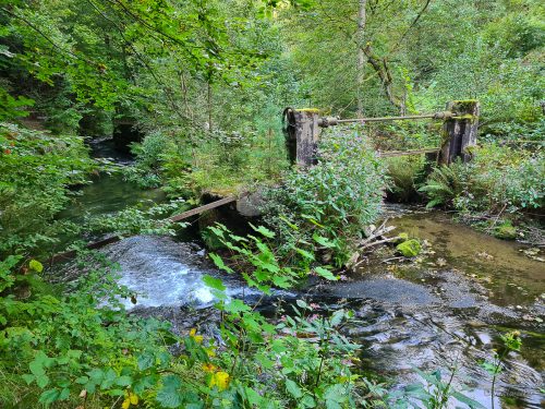 wanderung durch das kirnitzschtal sächsische schweiz