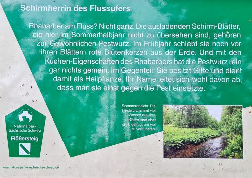 flößersteig wanderung durch das kirnitzschtal sächsische schweiz