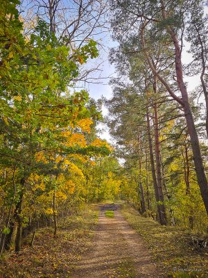 wanderung velpker schweiz