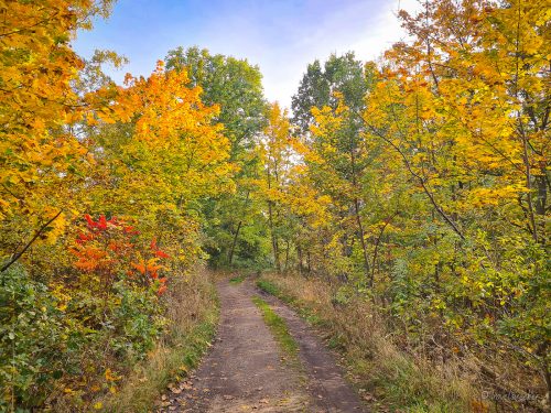 wanderung velpker schweiz