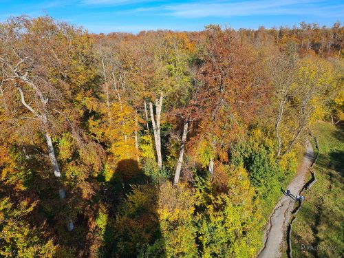 aussicht vom bismarckturm elm