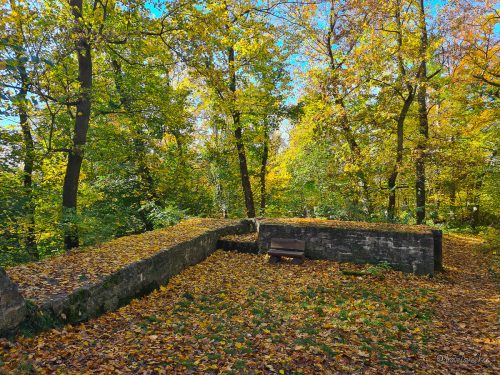 asseburg elm wanderung