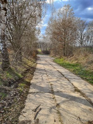 rundweg kleiner fallstein und adonisröschen bei hornburg