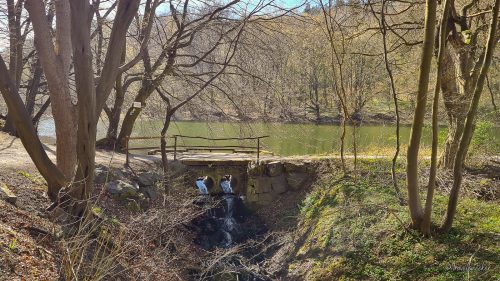 wanderung kloster michaelstein