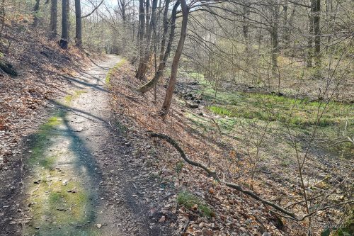 wanderung kloster michaelstein