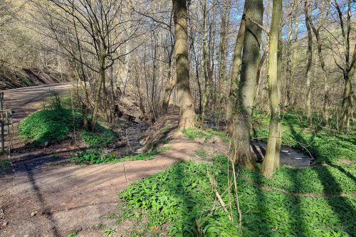 wanderung kloster michaelstein