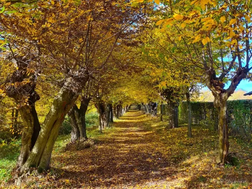 wanderung liebesallee im elm