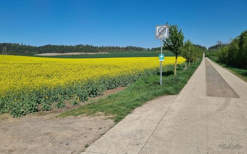 wanderung streuobstwiesen boernecke harzvorland