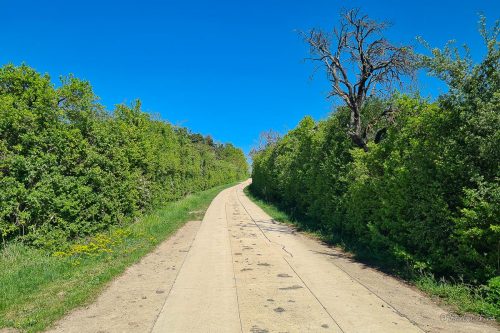 wanderung bei boernecke im harzvorland
