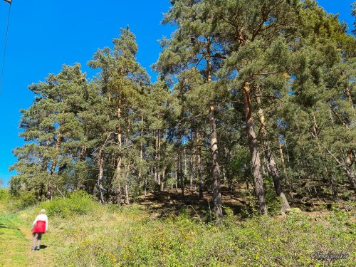 wanderung bei boernecke im harzvorland