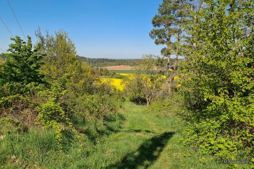 wanderung bei boernecke im harzvorland
