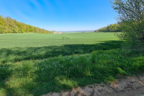 wanderung bei boernecke im harzvorland