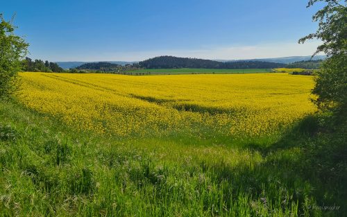 schöne aussicht wanderung bei boernecke im harzvorland
