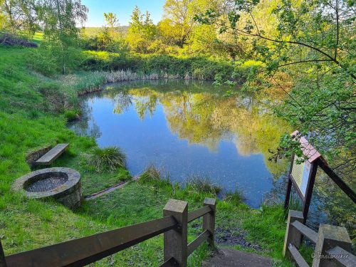 schwefelquelle bei boernecke vorharz