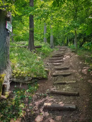 treppe wanderung stecklenburg zur hexenlinde im harz