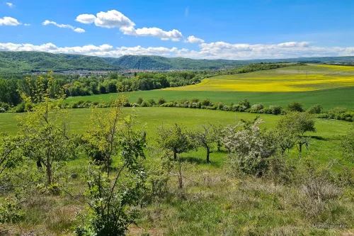 aussicht wanderung entlang der teufelsmauer bei timmenrode im harz