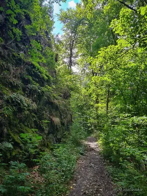 wanderwegtreseburg todtenrode im harz